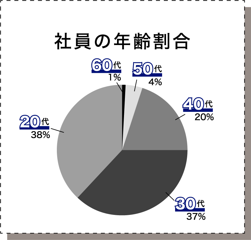 社員の年齢割合